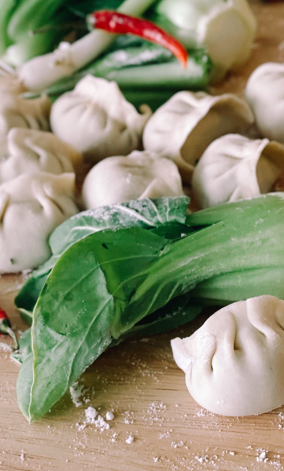Bright Pork Gyozas